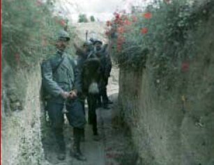 French Trench with poppies