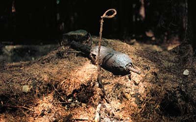 Live munition found near Verdun